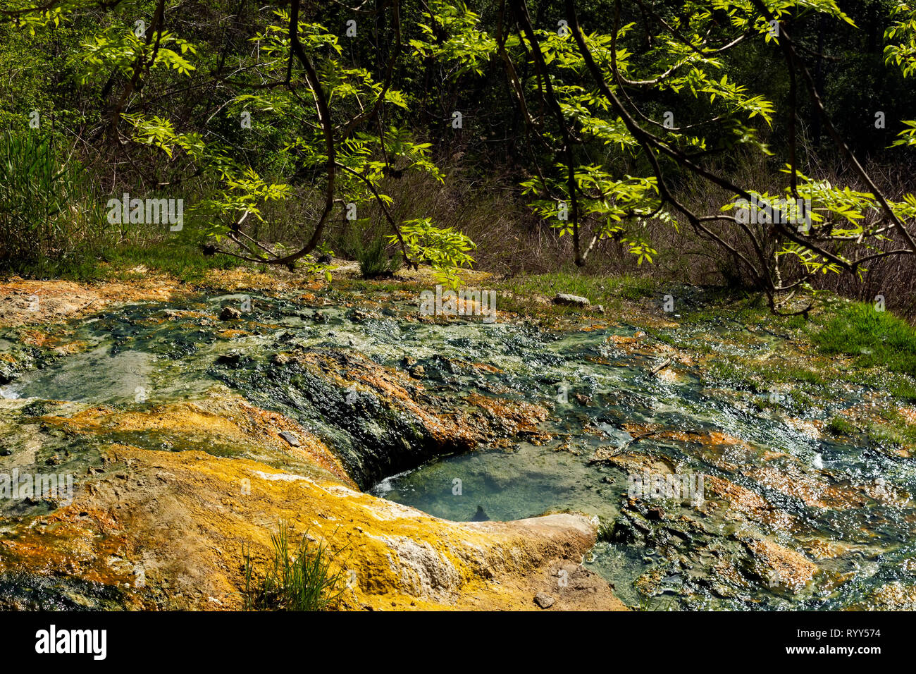 A source of mineral water on the slope of Mashuk Mountain,Northern Caucasus,Russia. Stock Photo
