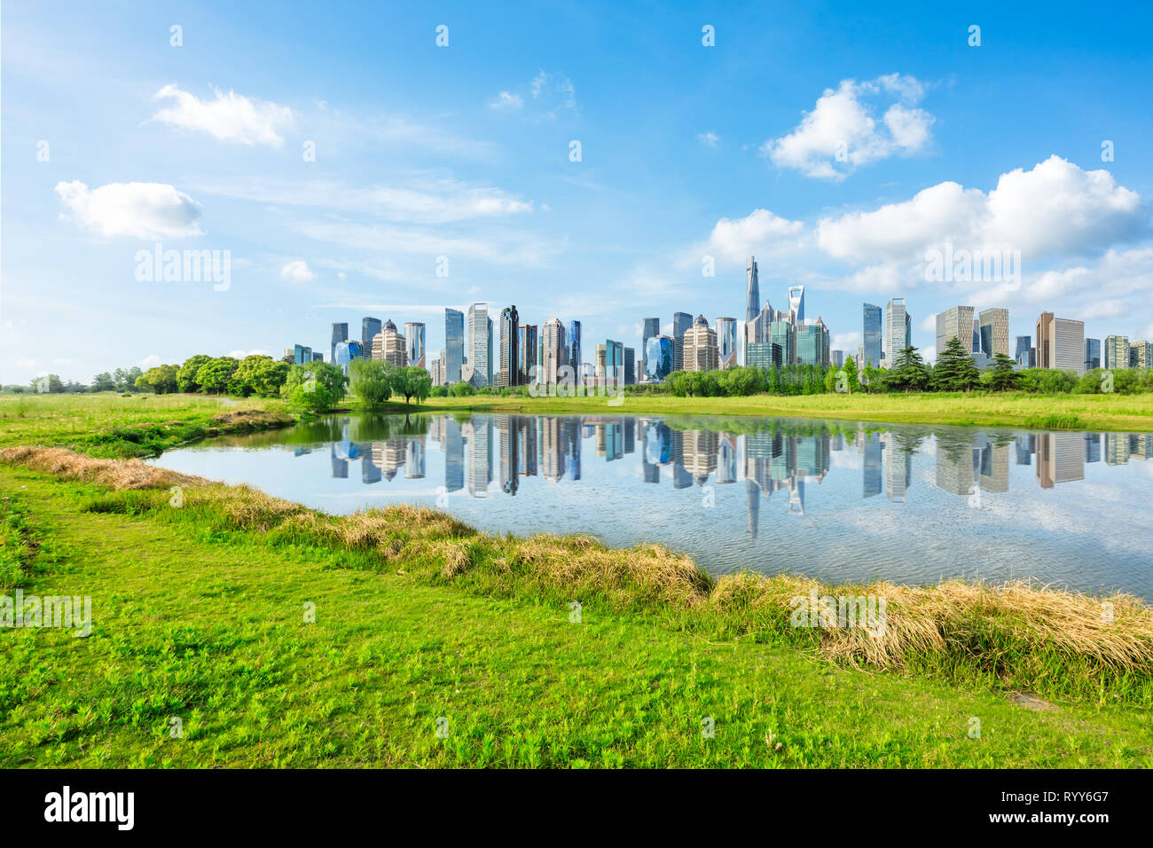 Shanghai city skyline and green grass with lake under the blue sky,China Stock Photo