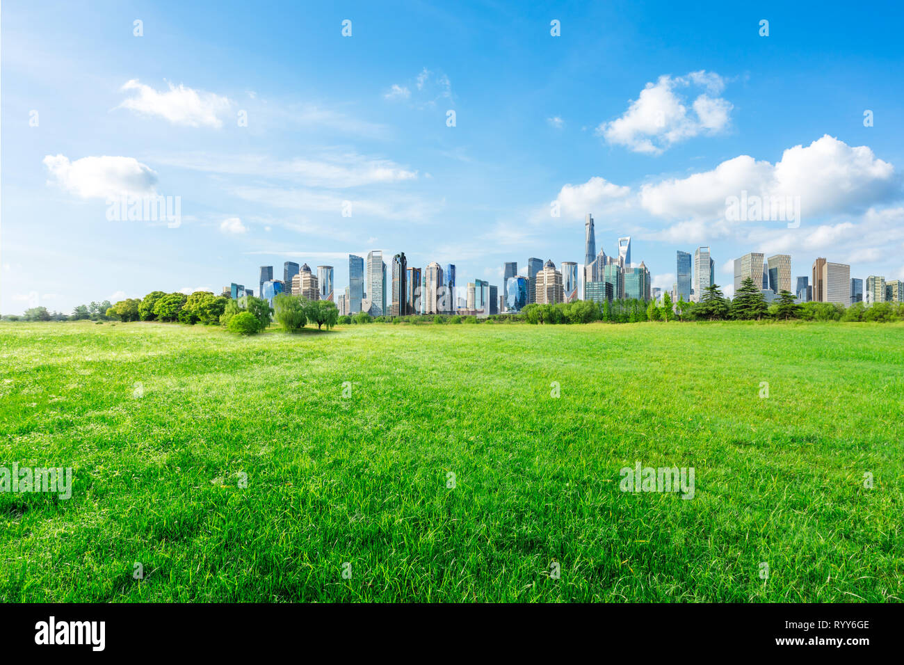 Shanghai city skyline and green grass under the blue sky,China Stock Photo