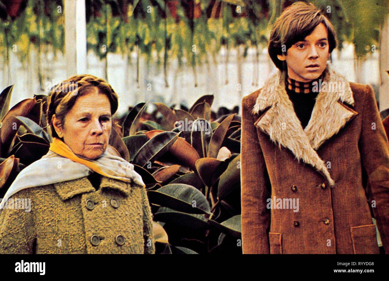 GORDON,CORT, HAROLD AND MAUDE, 1971 Stock Photo