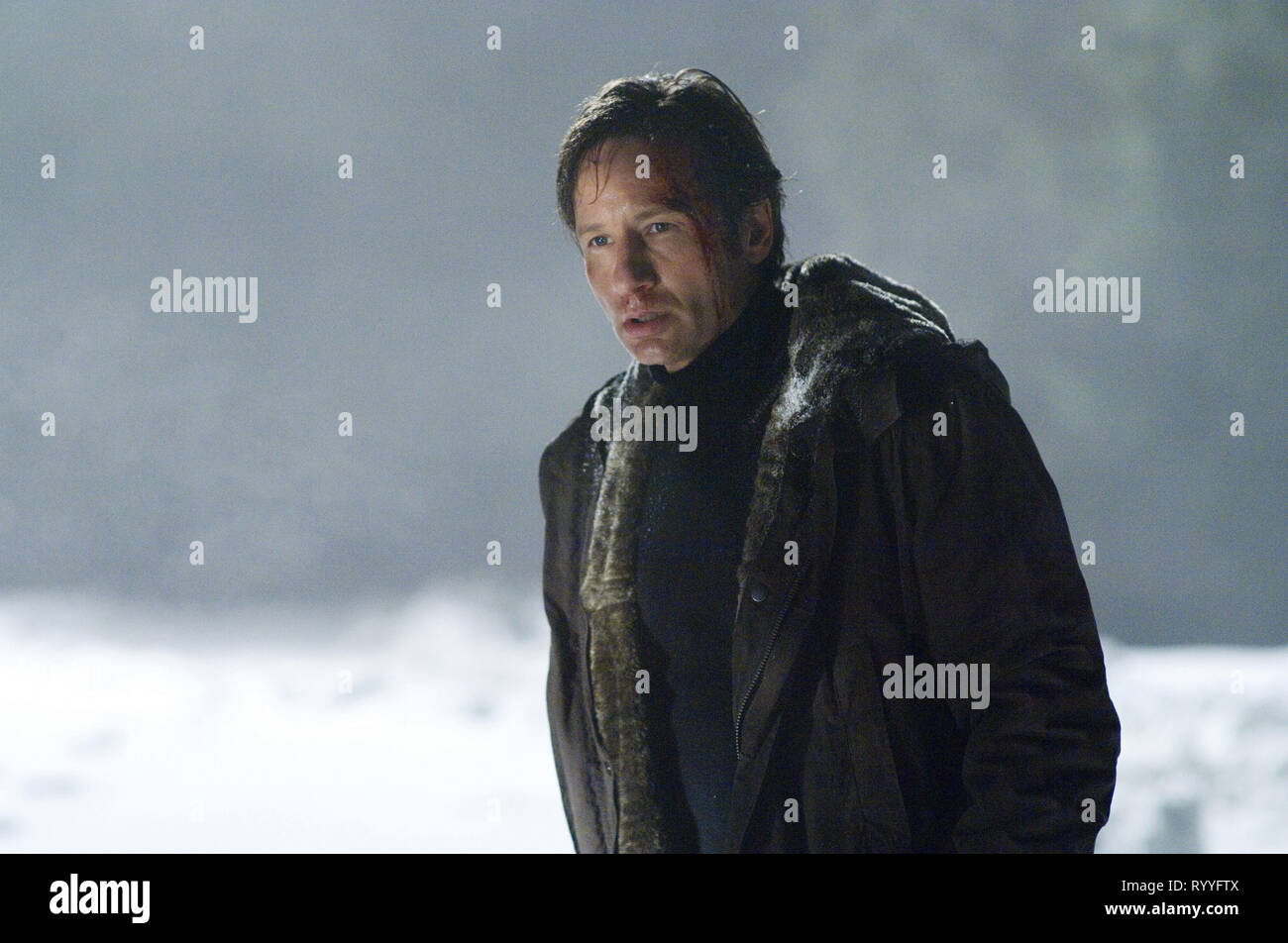 David Duchovny The X Files I Want To Believe 2008 Stock Photo Alamy