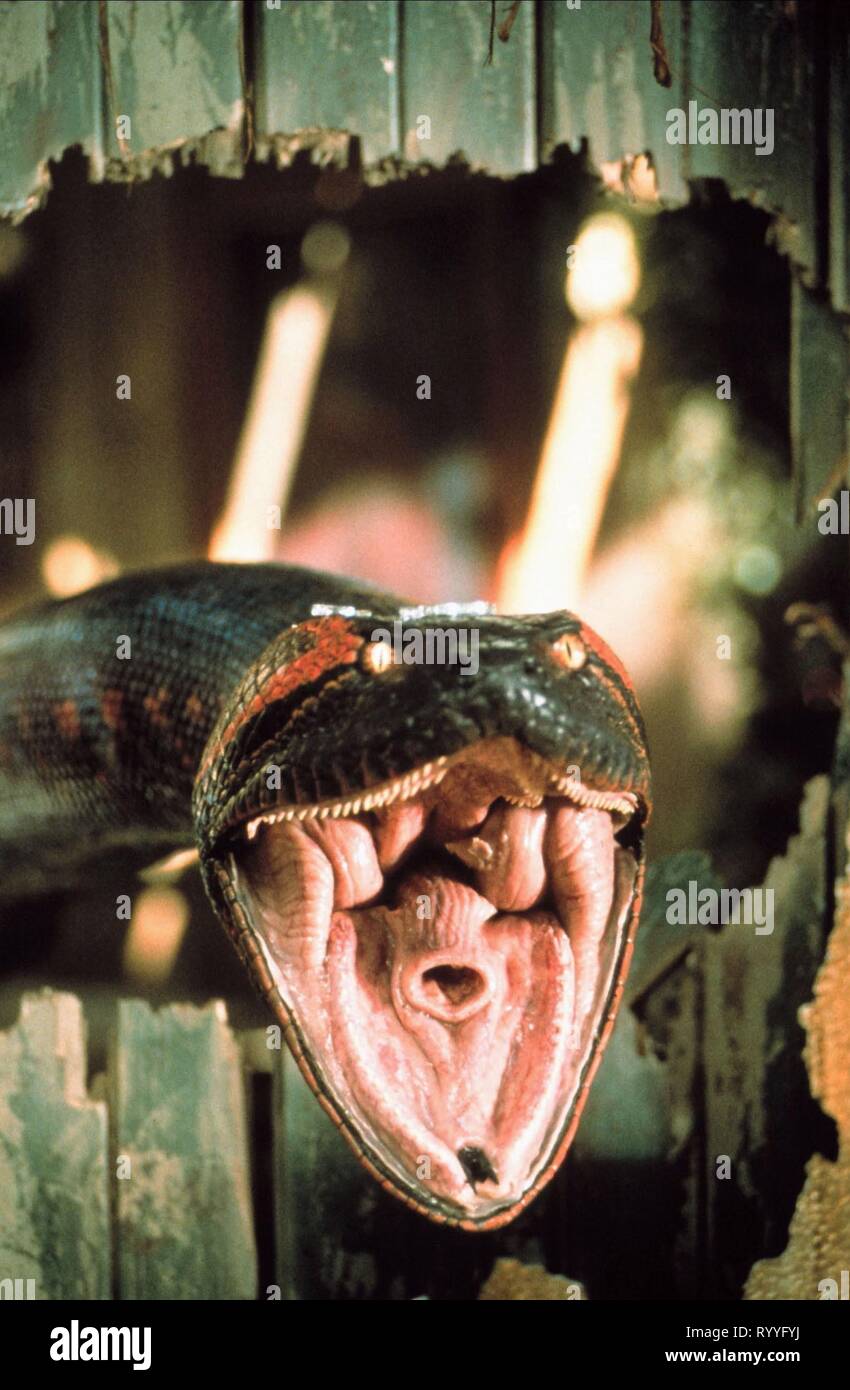 Giant Snake Anaconda 1997 Stock Photo Alamy