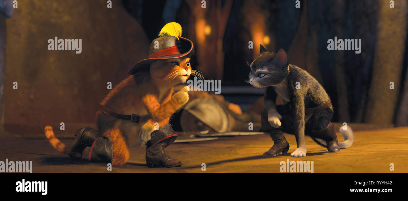 Le Chat Potte High Resolution Stock Photography And Images Alamy