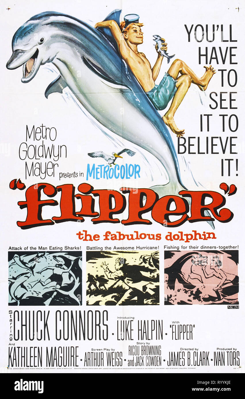 LUKE HALPIN, DOLPHIN POSTER, FLIPPER, 1963 Stock Photo Alamy