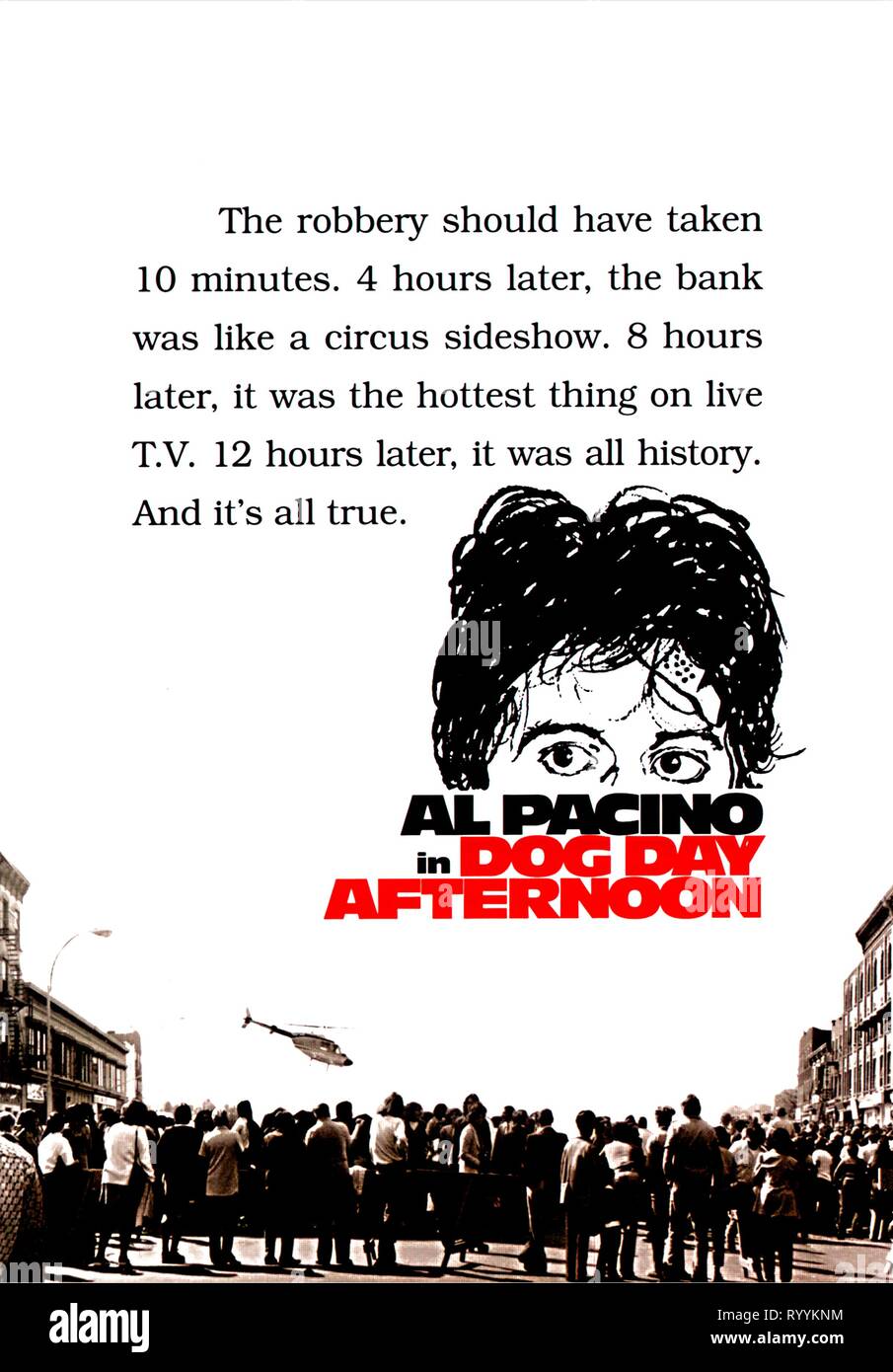 Dog Day Afternoon Wallpaper