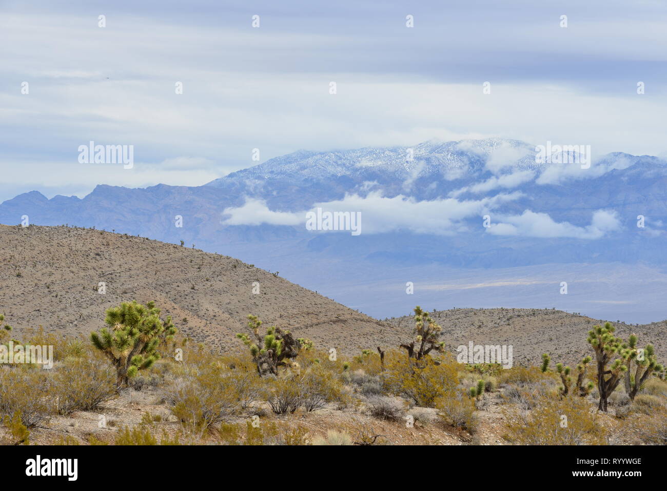 Different Landscapes in the Mojave Desert, Nevada Stock Photo - Alamy