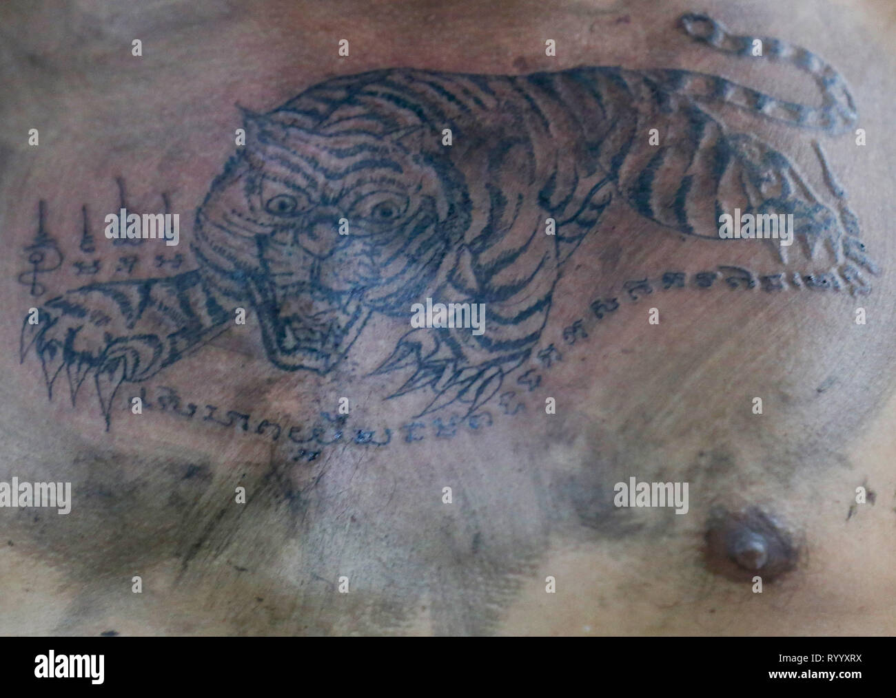 Twin Tiger Sak Yant Thai Tattoo Hand Poke  YouTube