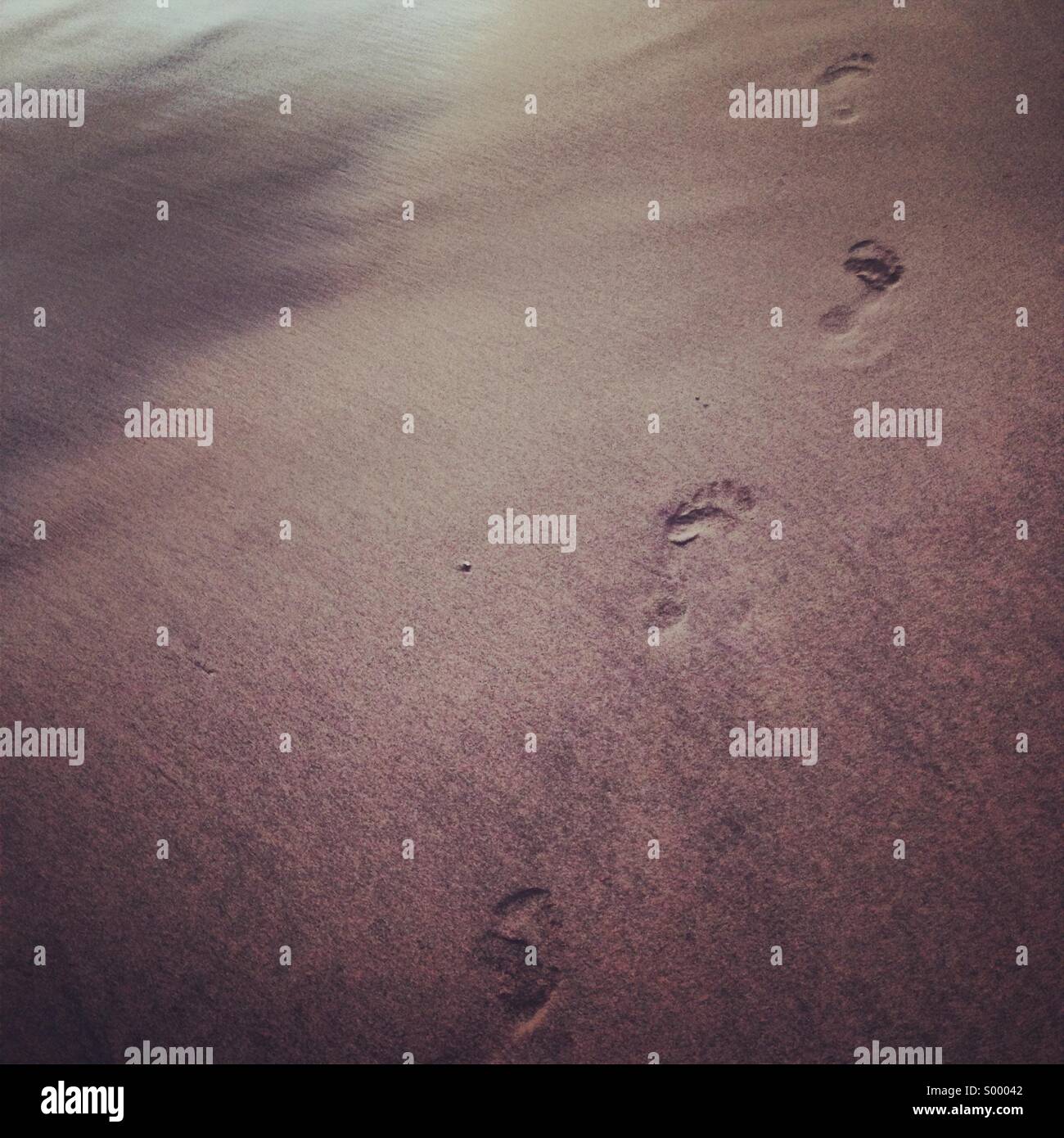 Footprints in the sand Stock Photo Alamy