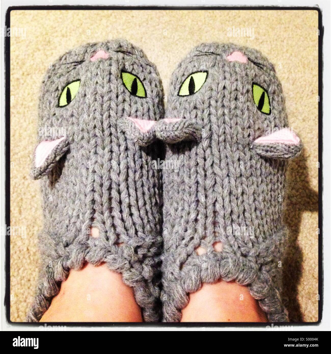 Cat slippers on feet Stock Photo Alamy
