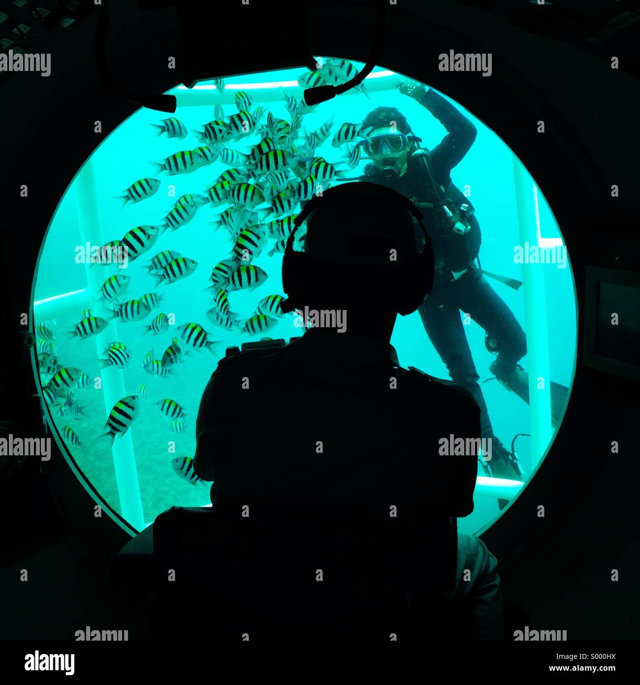 View of a diver and fish from inside a submarine Stock Photo