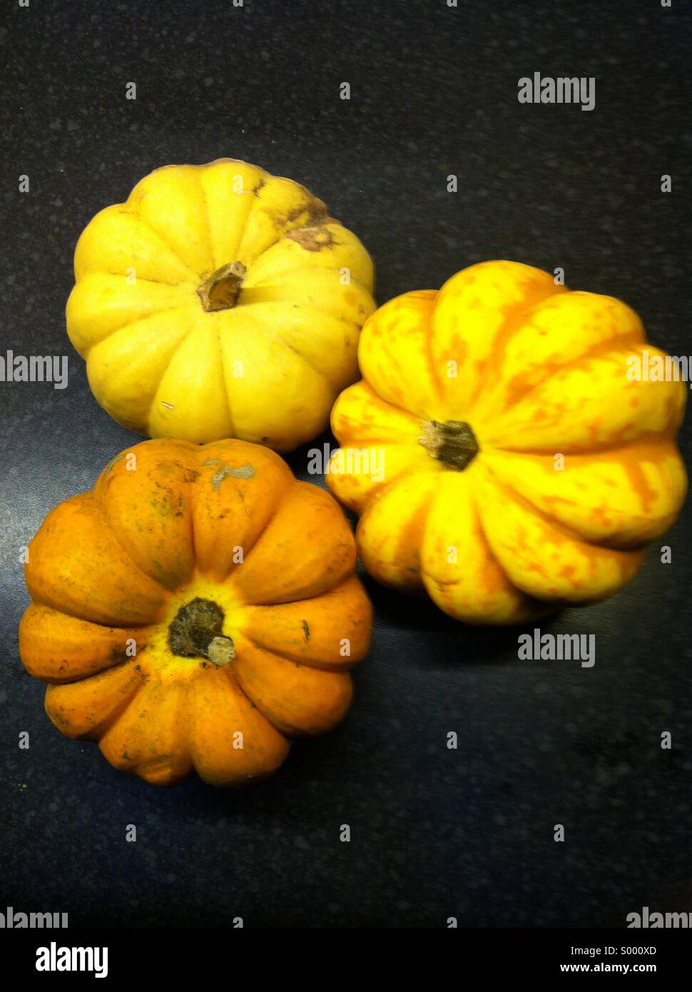 Orange Gourd High Resolution Stock Photography and Images - Alamy