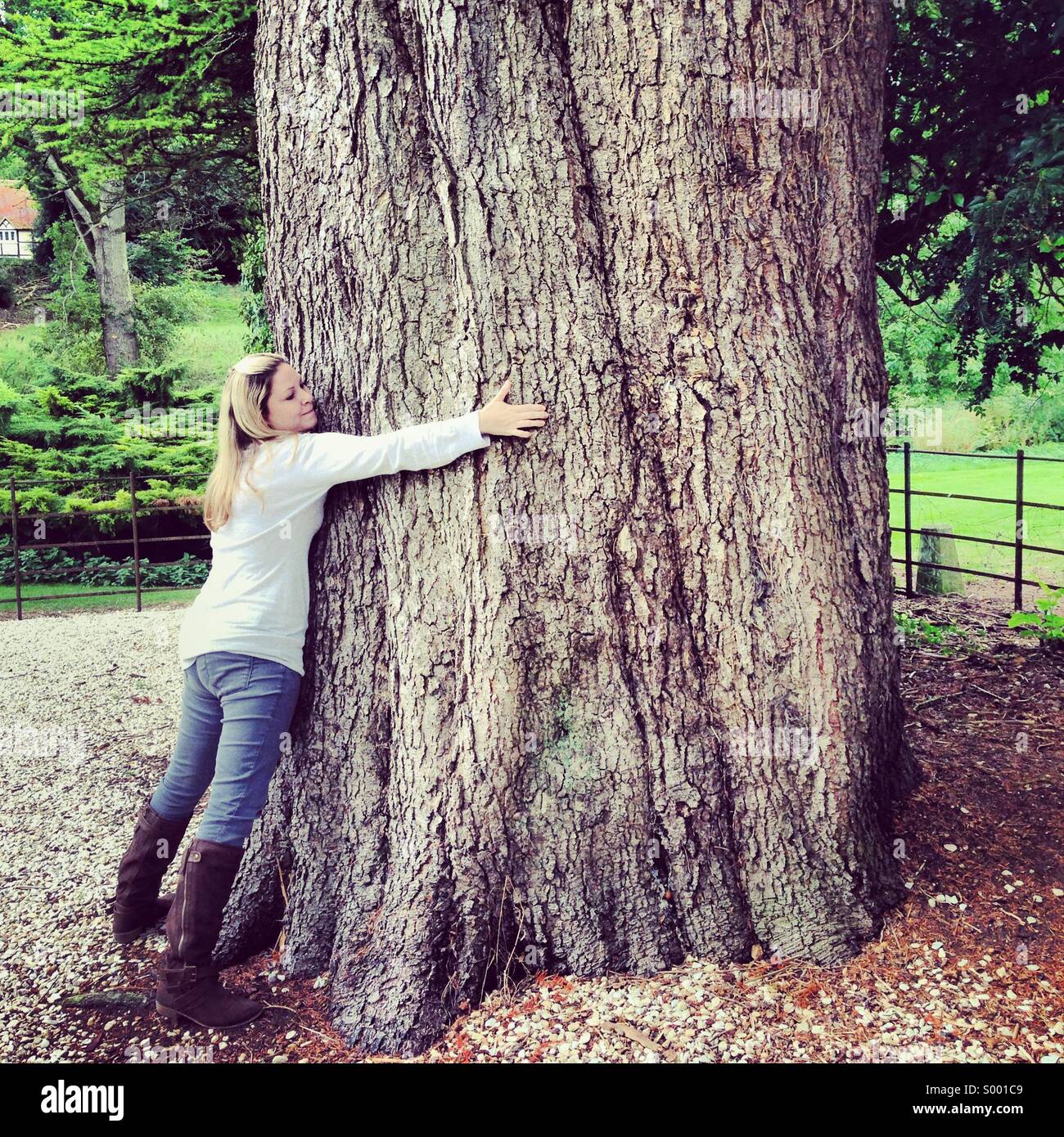 Tree hugger Stock Photo
