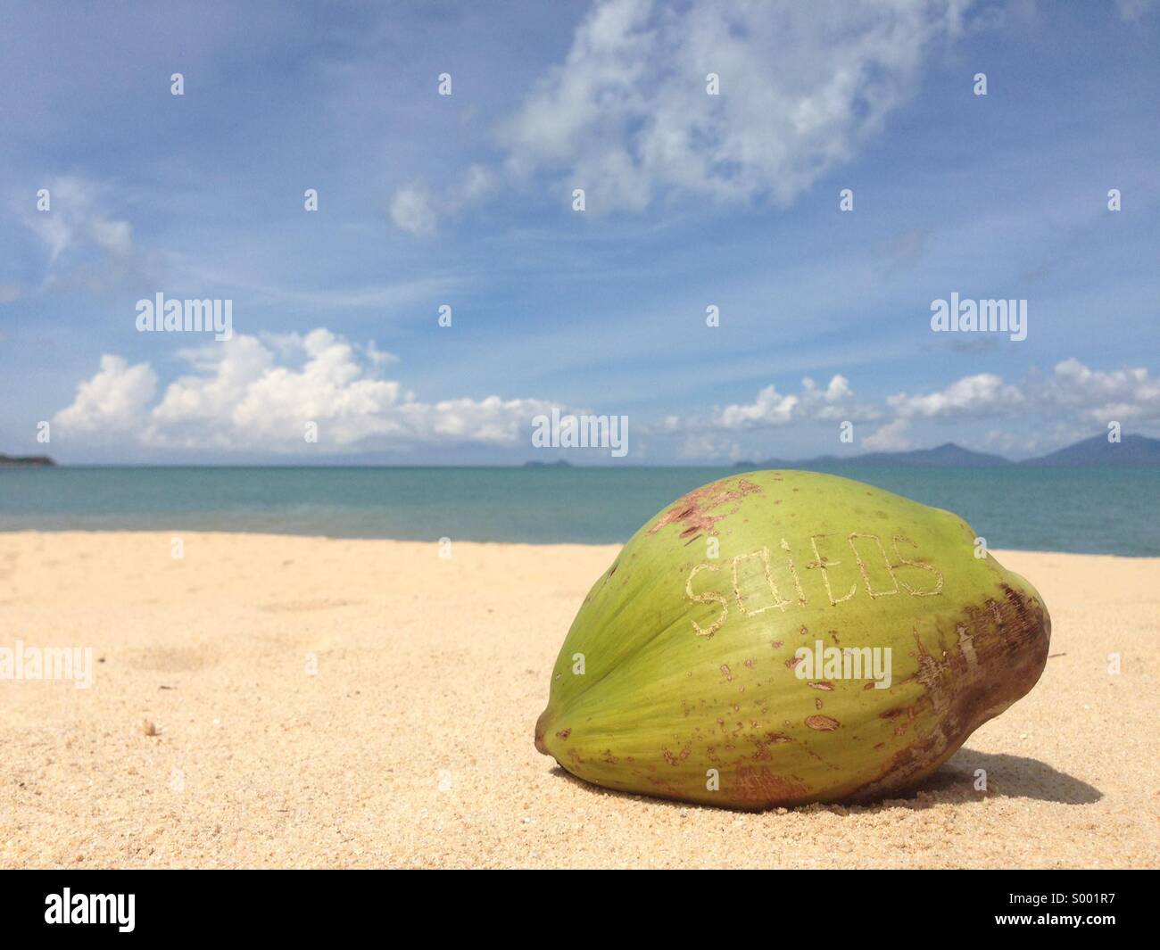 Coconut on the beach Stock Photo Alamy