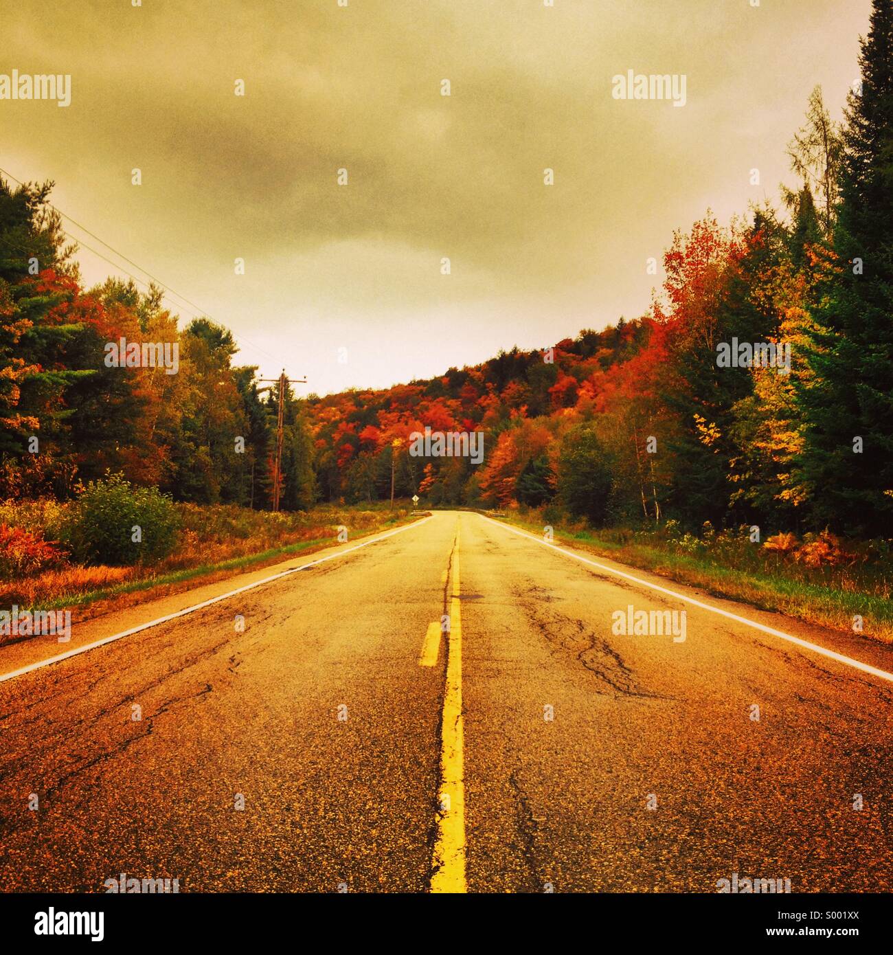 Lonely road, Maine, USA Stock Photo
