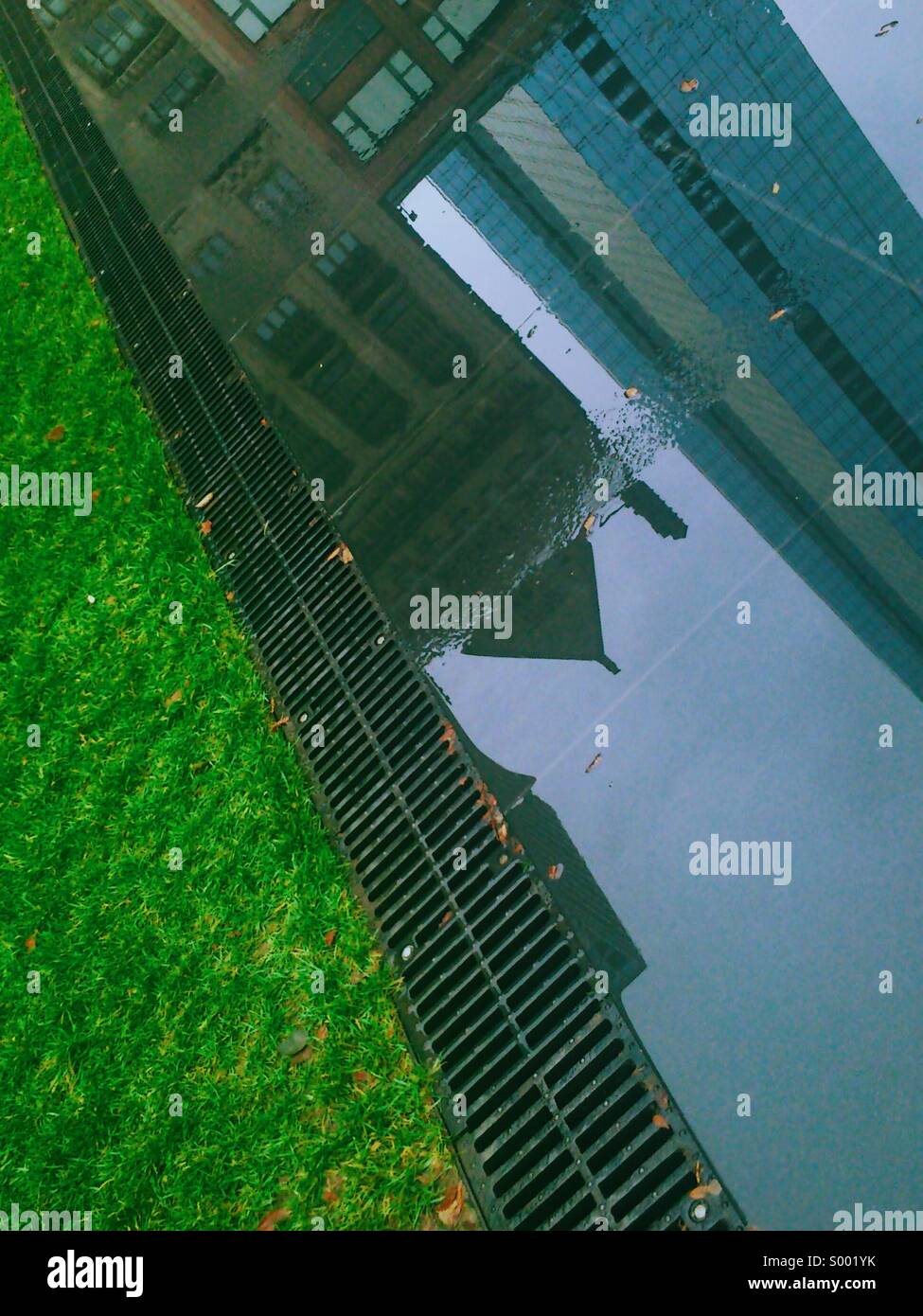 Grass and puddle reflecting buildings. - Smartphone Captured Stock Image