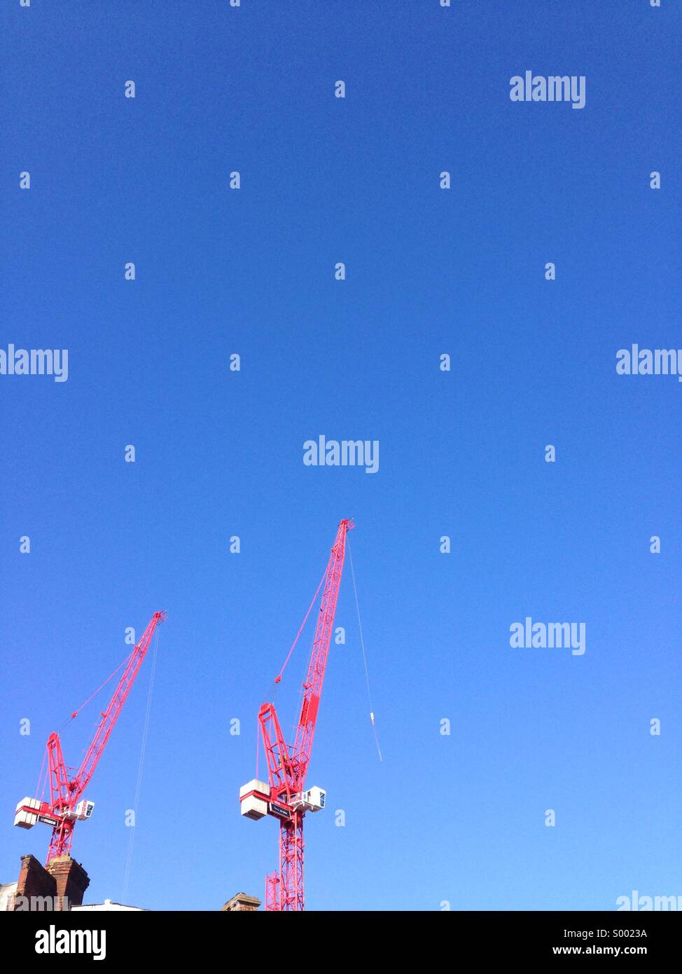 Red cranes blue sky Stock Photo