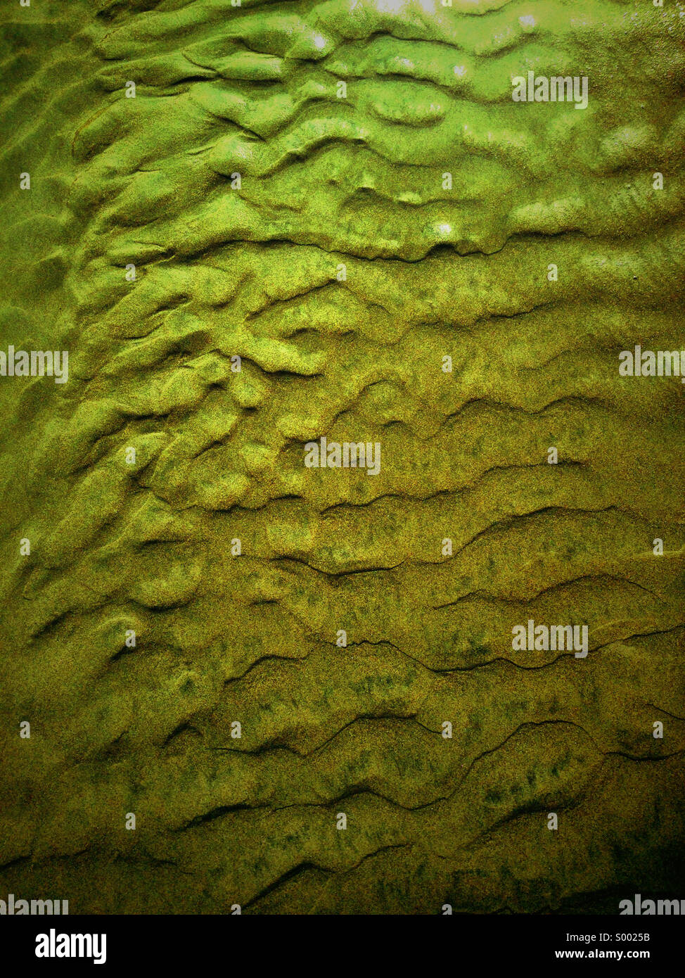 San patterns from tidal flow. Playas, Ecuador. Stock Photo