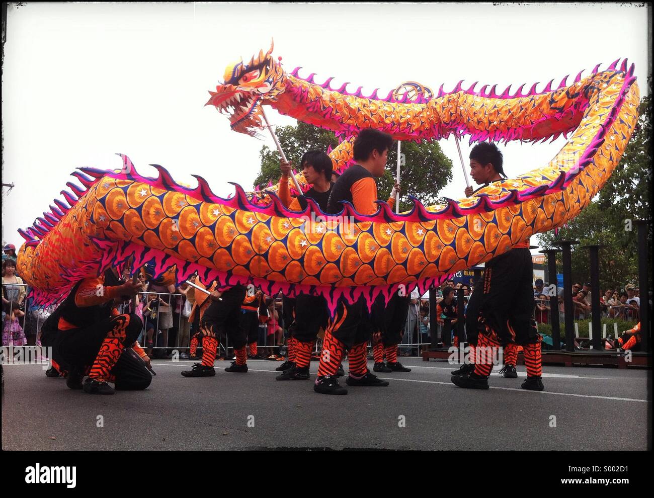 Dragon dance at Chinese New Year celebrations, Melbourne Stock Photo