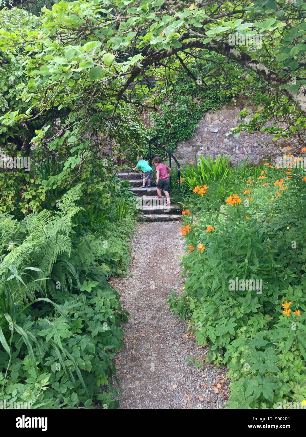 Children exploring a colourful garden in Glenveagh Co Donegal Ireland