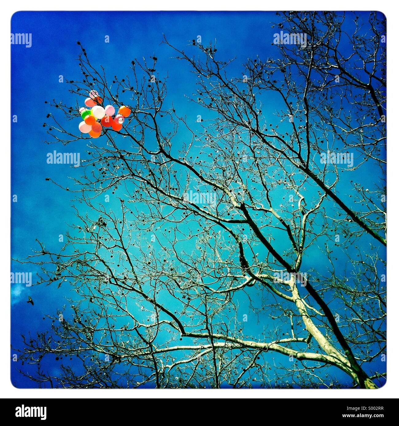 Stuck hi-res stock photography and images - Alamy
