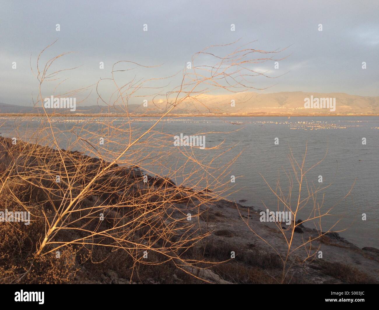 Sunset at Alviso Marina State Park, CA Stock Photo