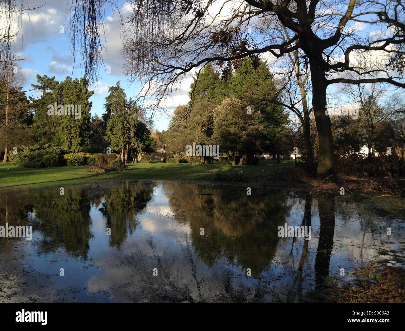 Trees in water hi-res stock photography and images - Alamy