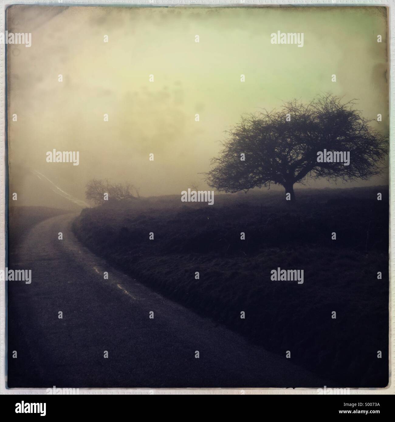 Lonely road hi-res stock photography and images - Alamy