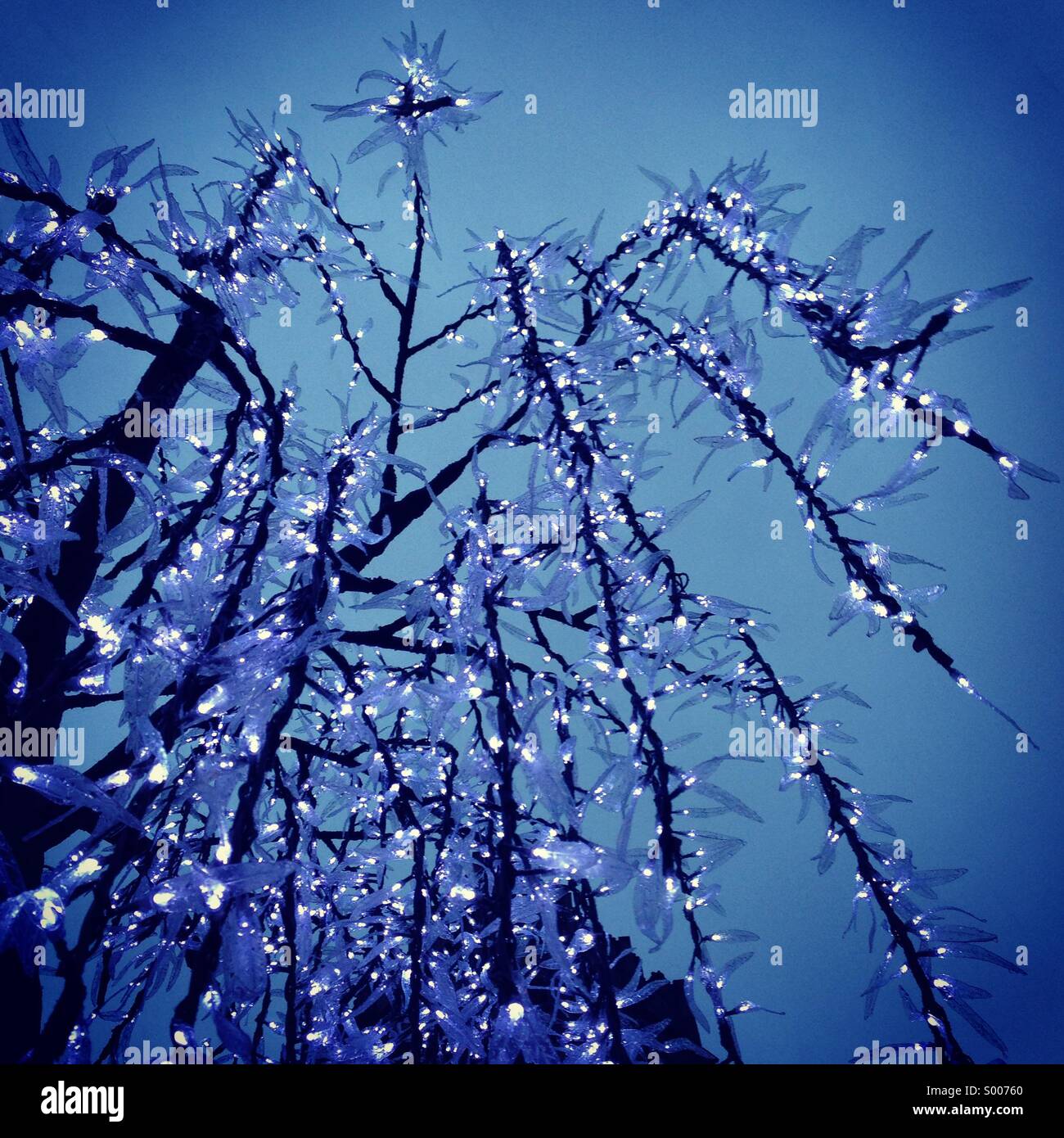 Weeping willow LED tree Stock Photo
