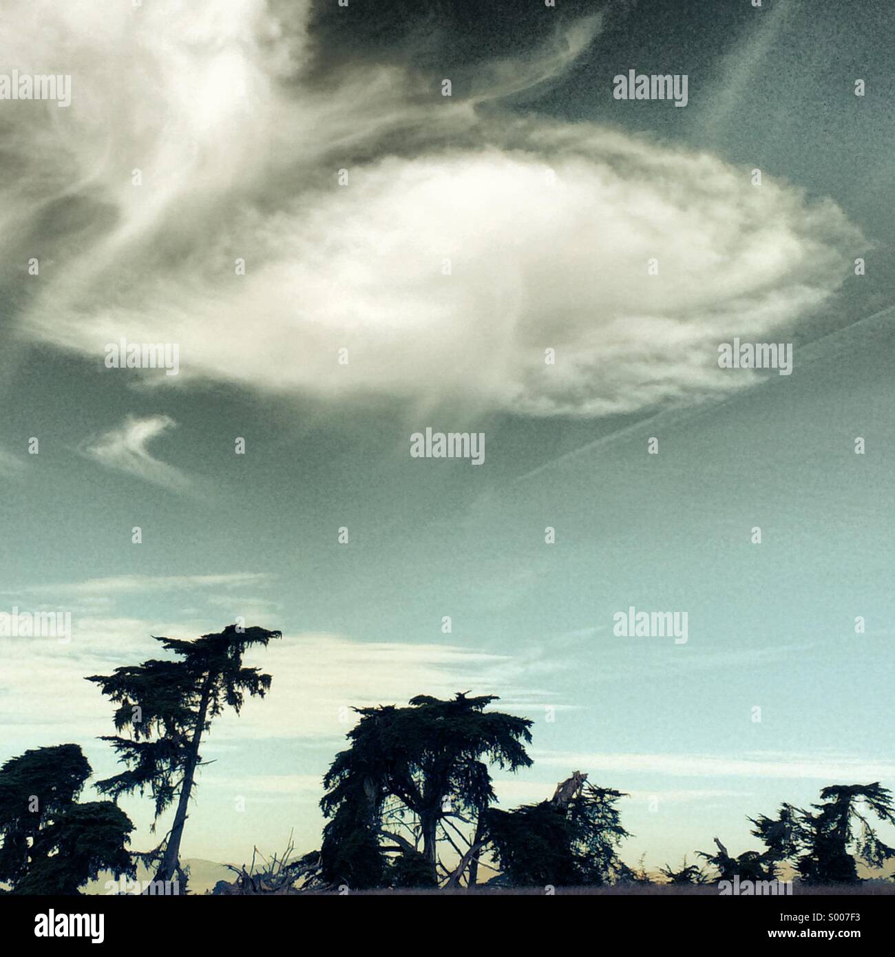 Trees and clouds in central coast california Stock Photo Alamy