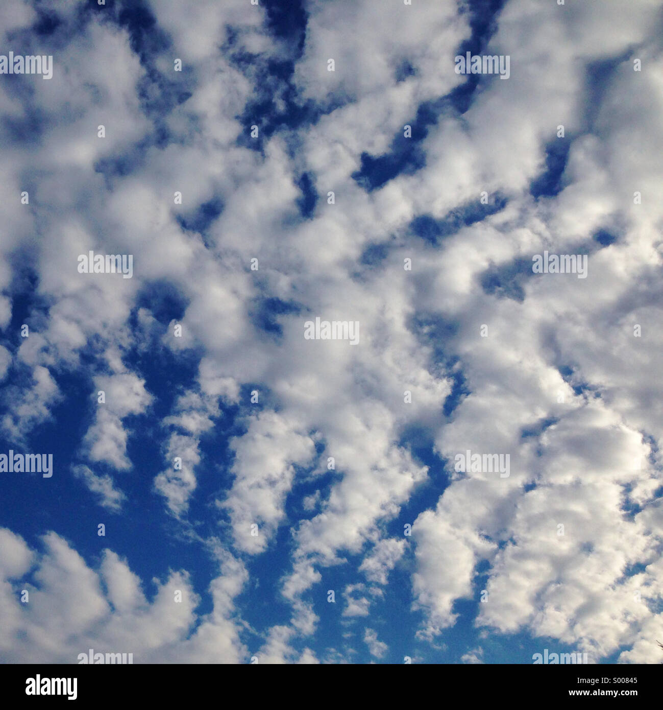 Mackerel clouds - Smartphone Captured Stock Image