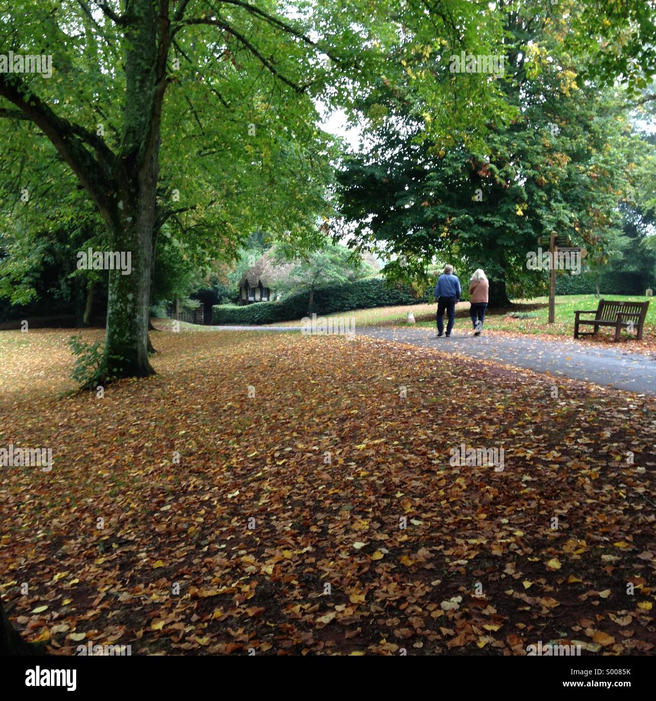 Autumn scene at Cockington village in Torquay, English Riviera (Torbay), United Kingdom. - Smartphone Captured Stock Image