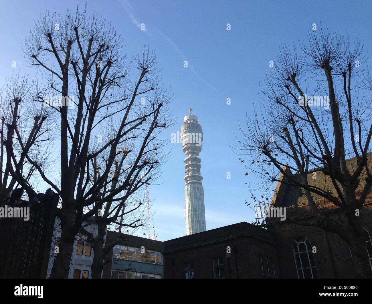 Bt tower seen through trees Stock Photo