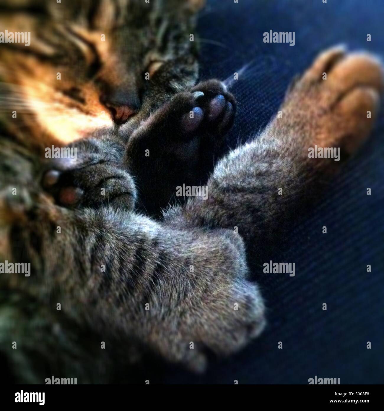 My Image 29