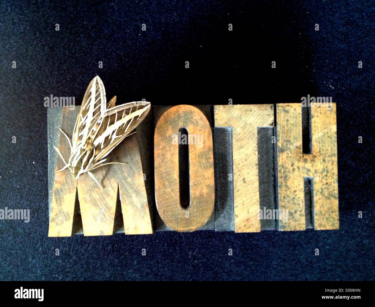 Live moth on word - Smartphone Captured Stock Image