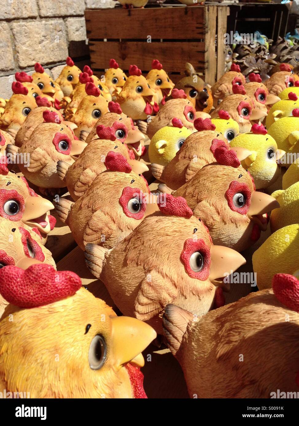 Too many chickens Stock Photo Alamy