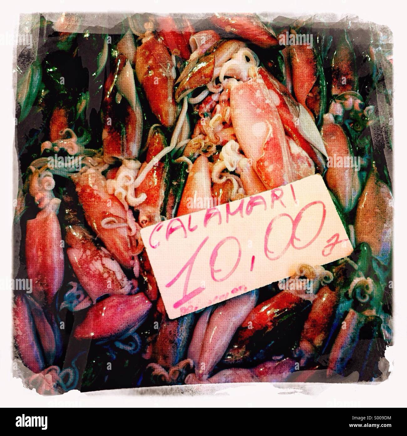 Calamari for sale in the street market in Siracusa Sicily Italy - Smartphone Captured Stock Image