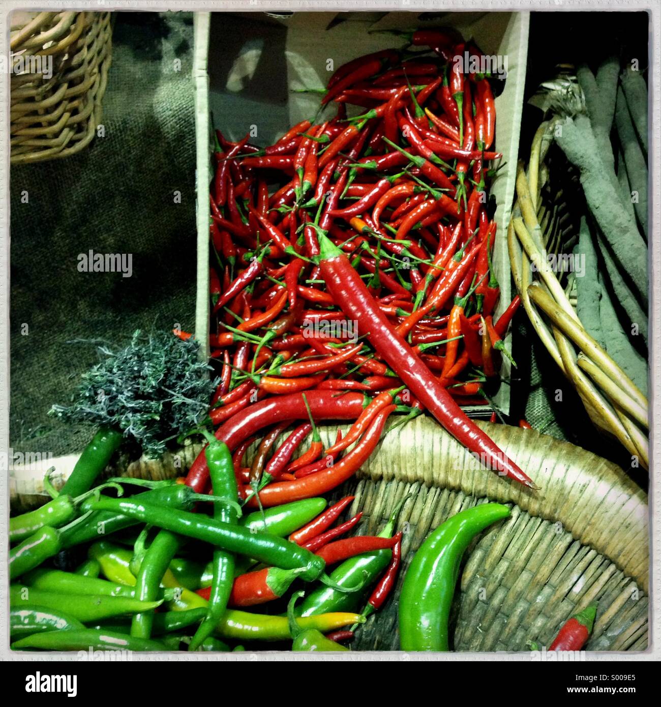 Fresh red and green chillies on sale in a market - Smartphone Captured Stock Image
