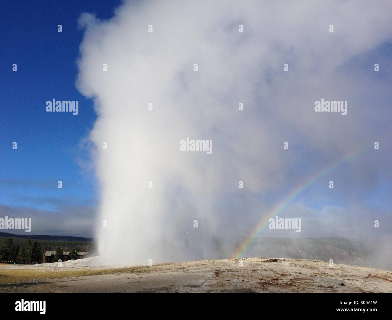 Old Faithful, Yellowstone National Park Stock Photo - Alamy