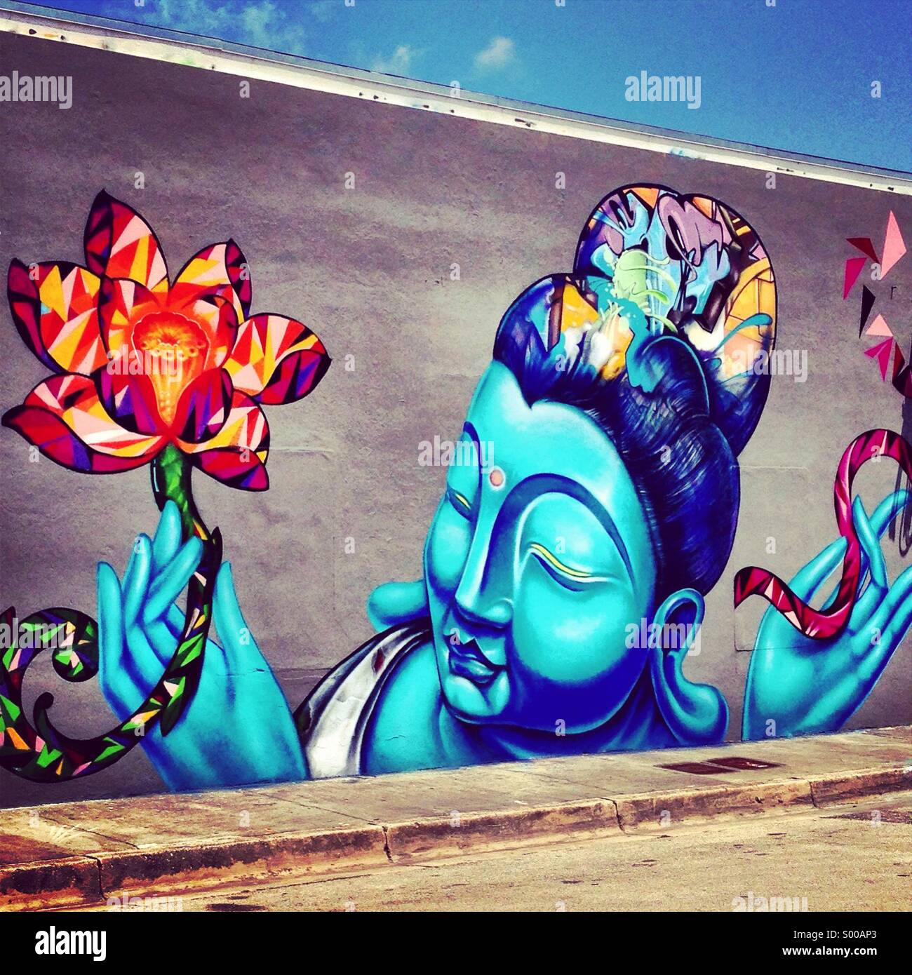 Wynwood wall art district miami florida art basal graffiti paint hires