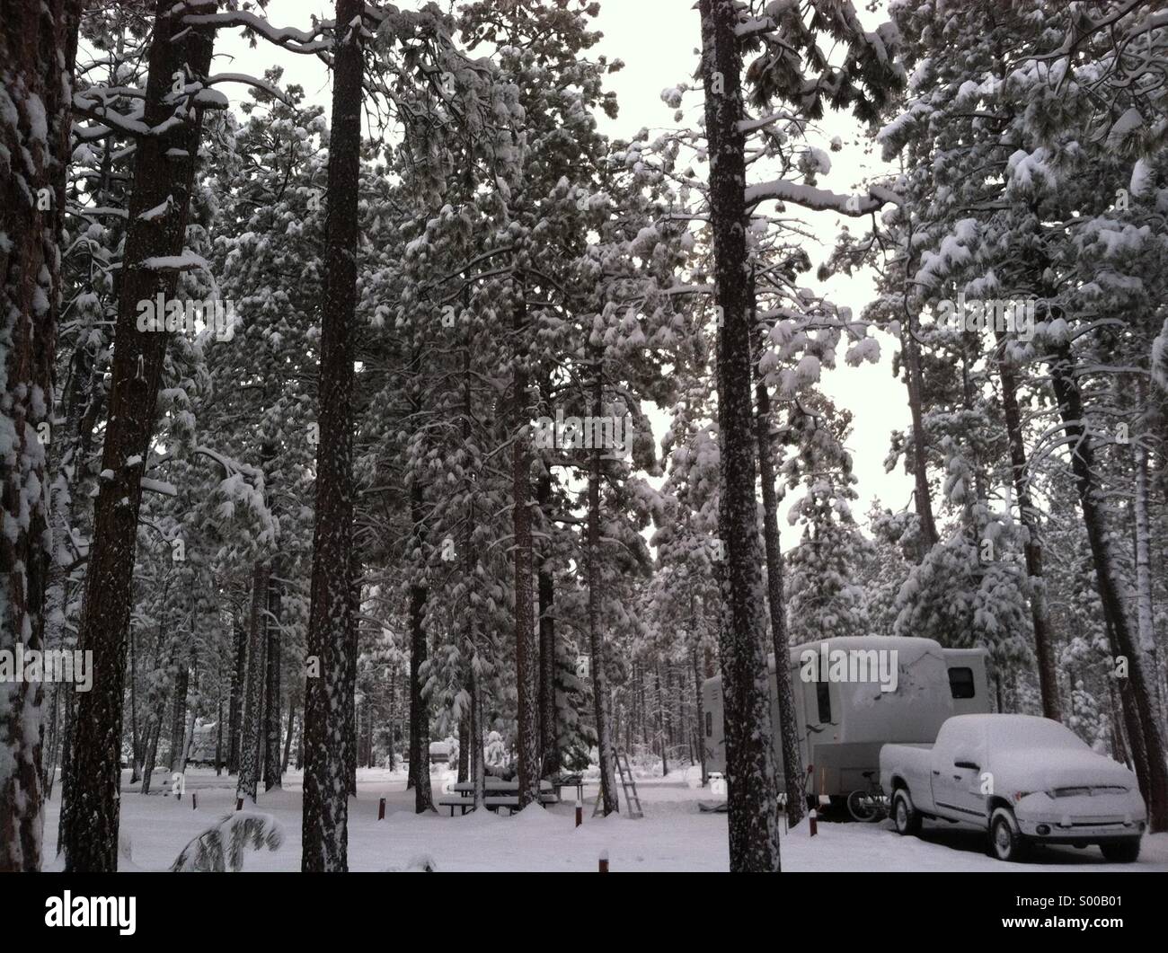 A truck and camper in the forest with heavy snow. Northern Arizona