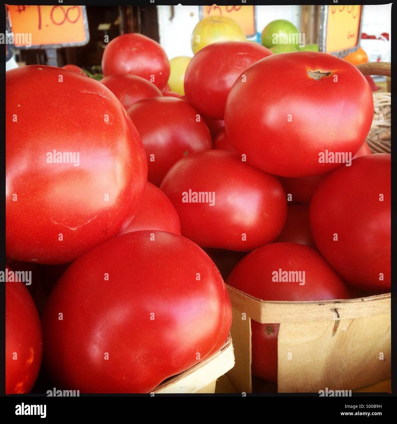 Tomatoes in baskets at market Stock Photo - Alamy