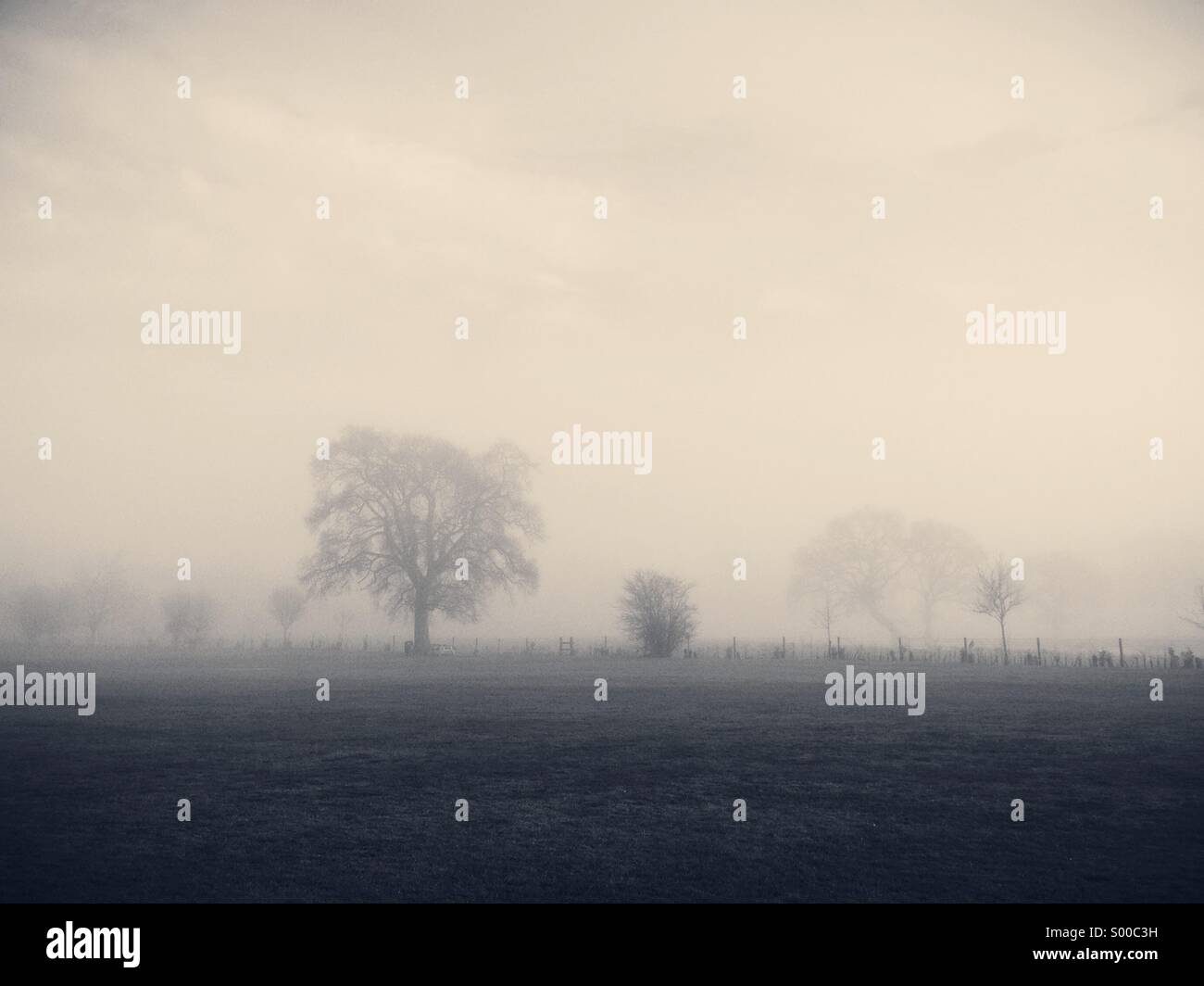 A misty morning in Wiltshire. Stock Photo