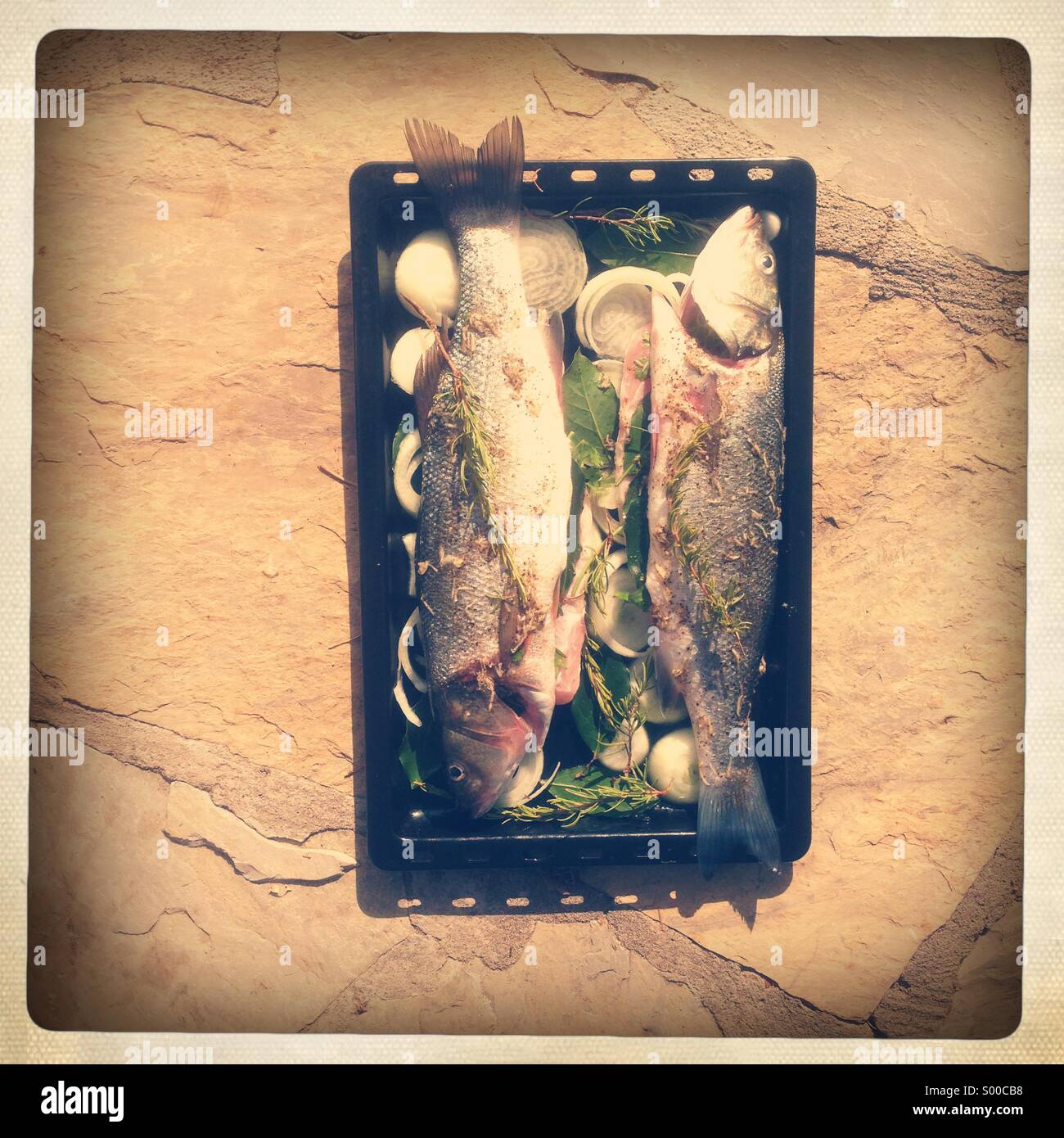 Preparing fish dish for dinner - Smartphone Captured Stock Image