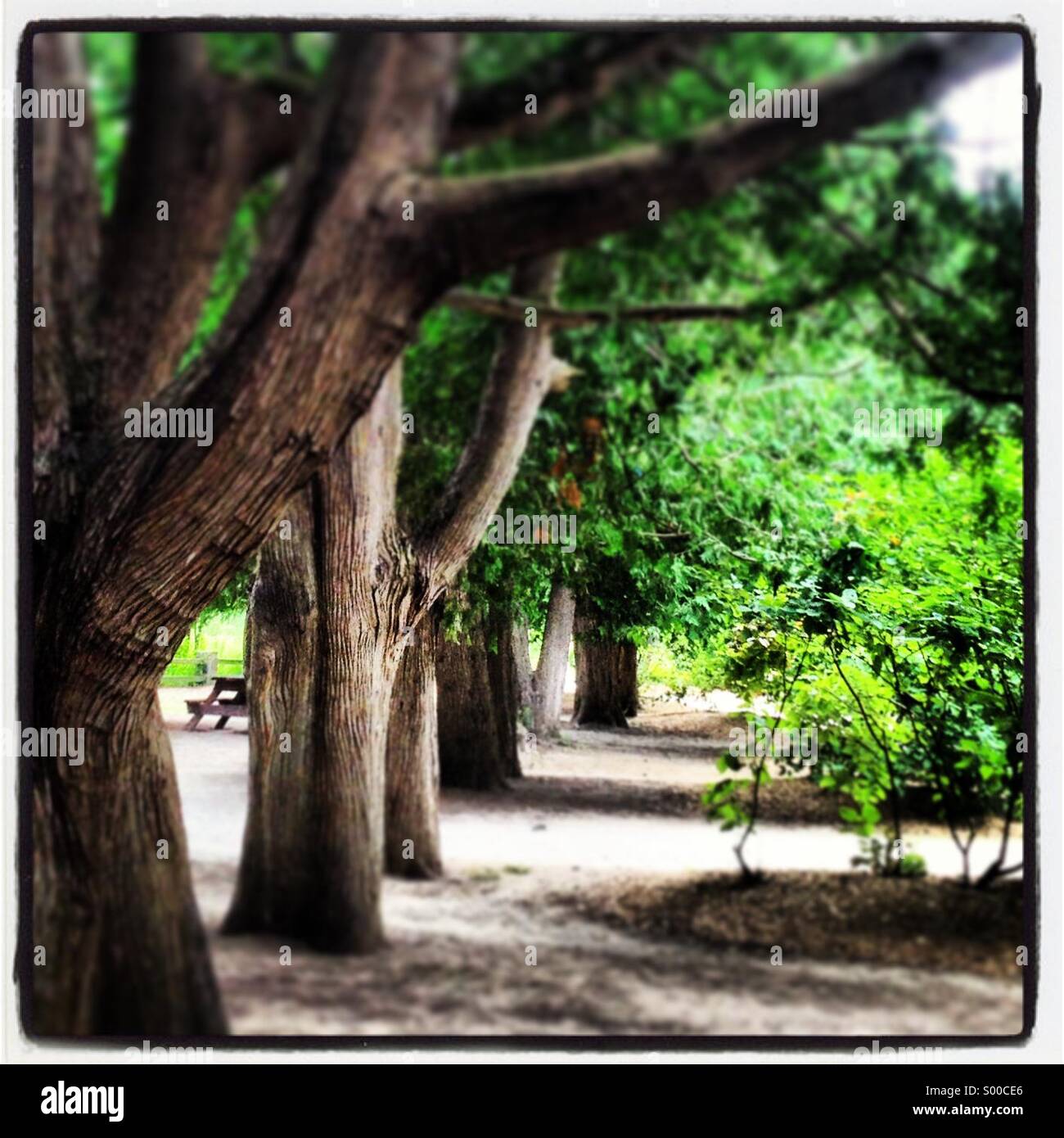 London ontario hires stock photography and images Alamy