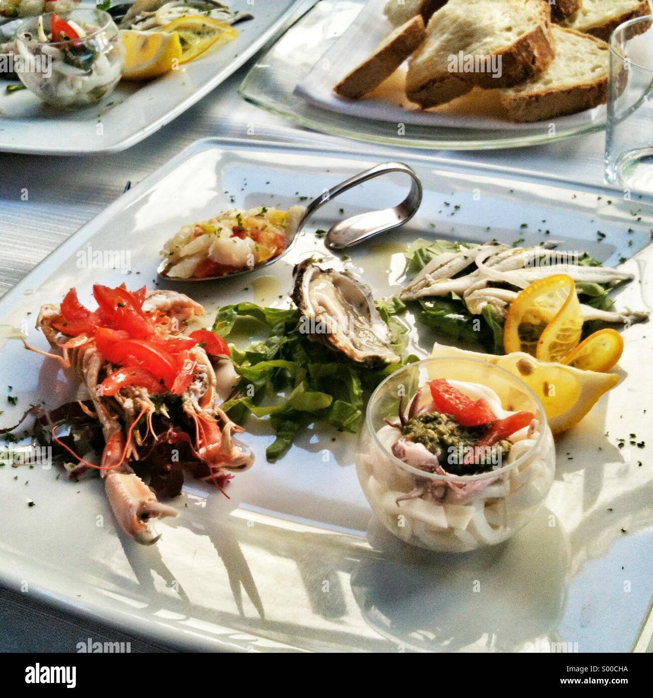 Fish plate - Smartphone Captured Stock Image