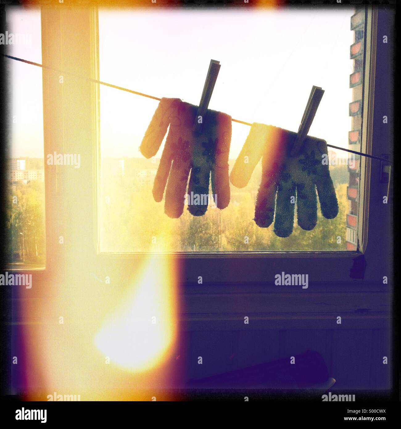 Work gloves drying on a rope spring day Stock Photo Alamy