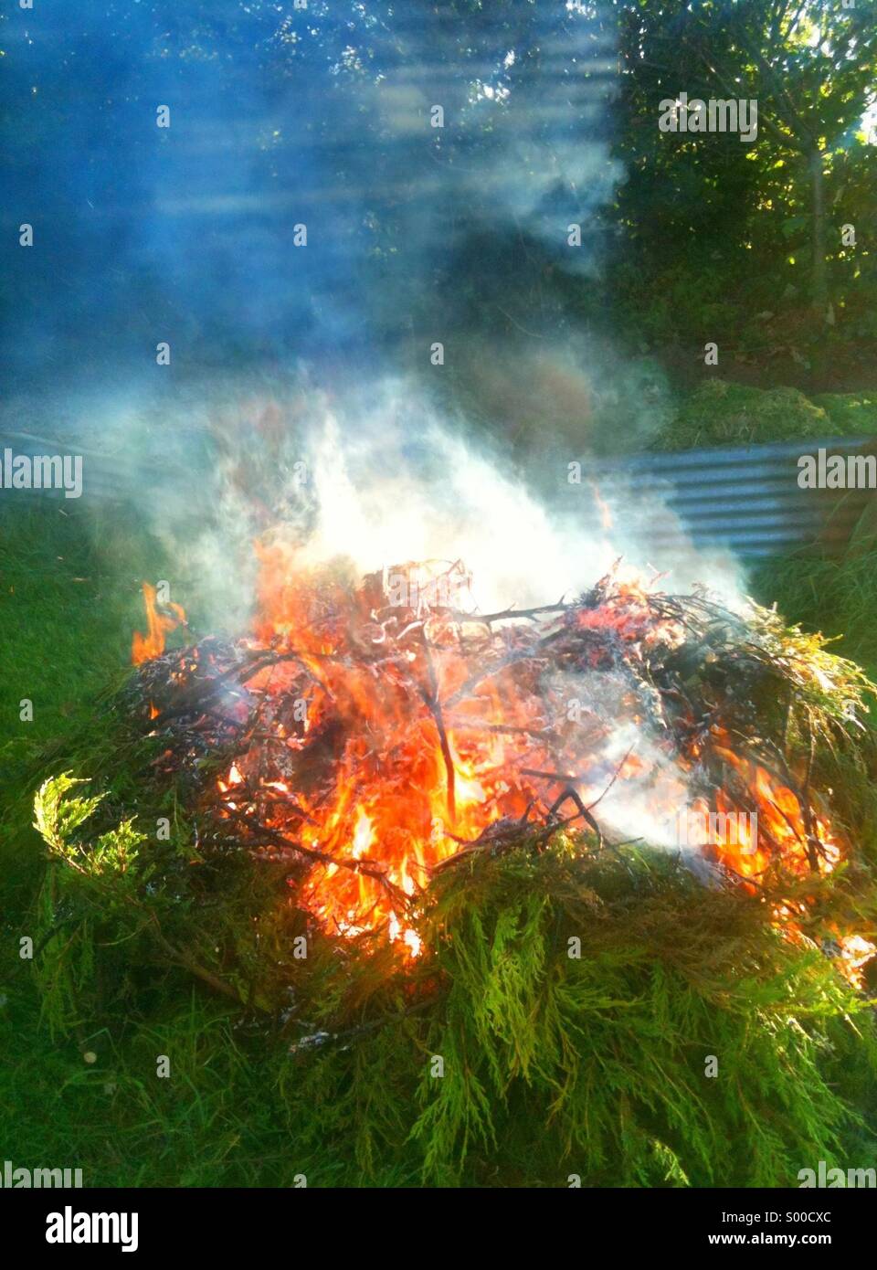 Bonfire in garden Stock Photo Alamy