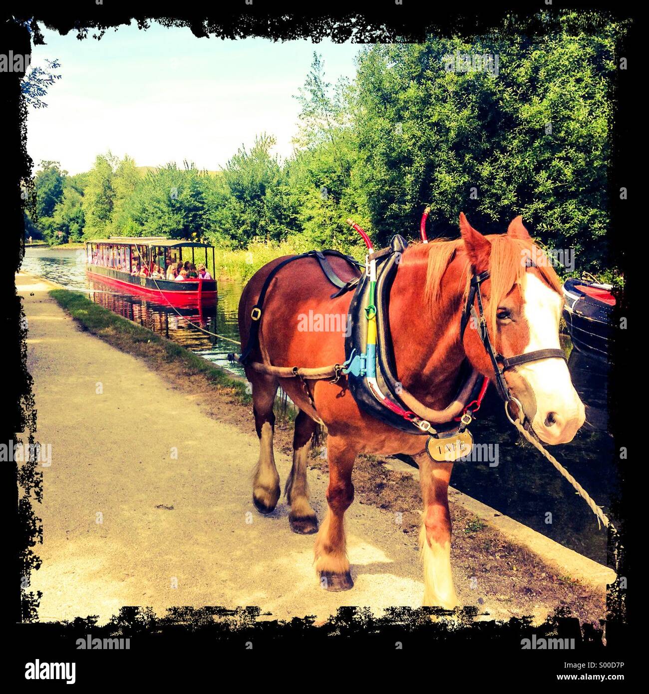 Horse pulling canal boat - Smartphone Captured Stock Image
