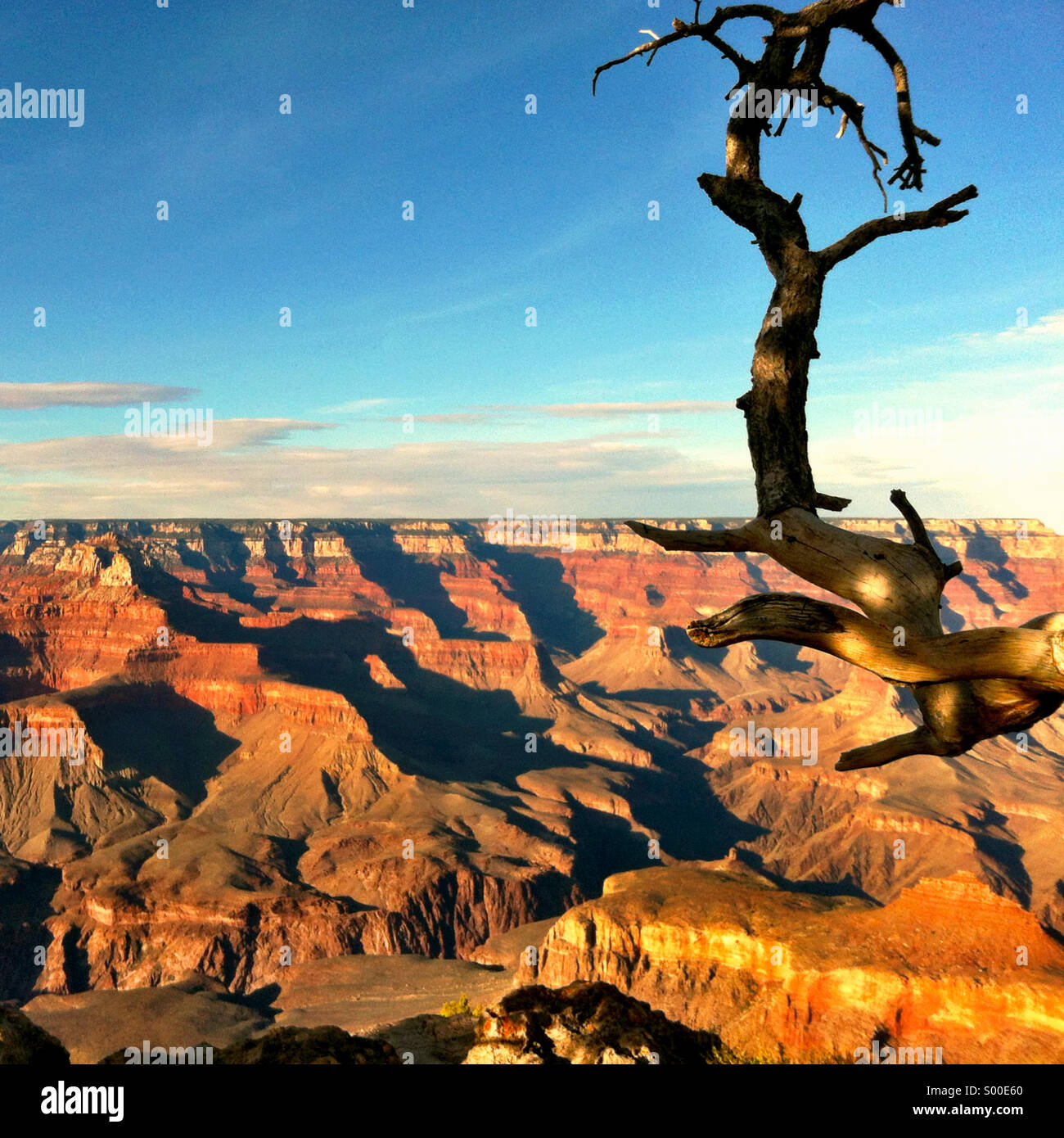 Grand Canyon - Smartphone Captured Stock Image