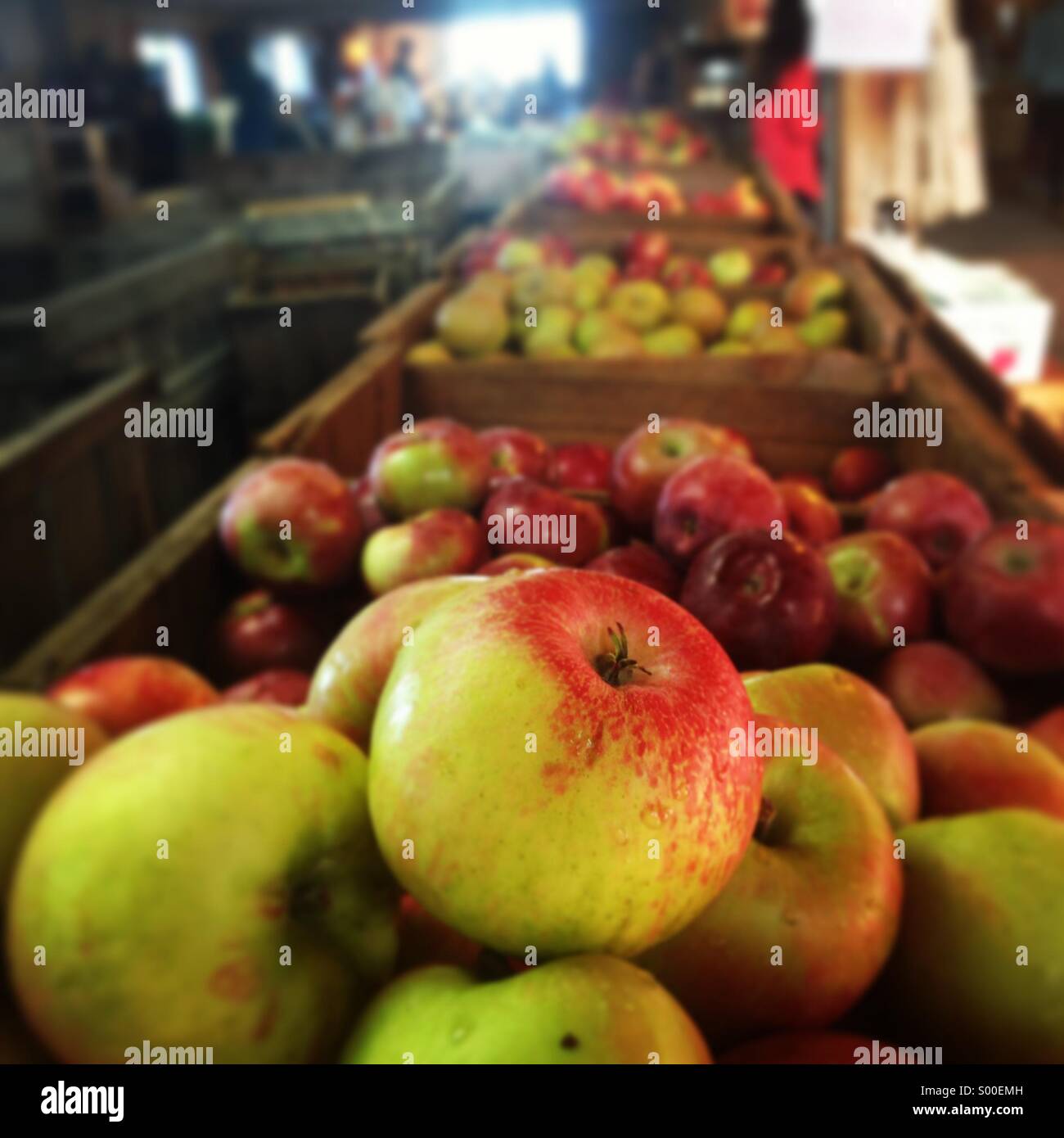 Apples in a bin Stock Photo Alamy